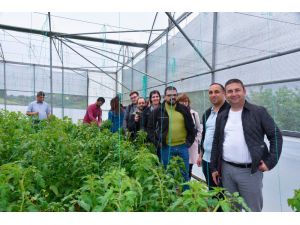 Kırsaldaki Gençlerin Girişimciliği Güçlendirilecek