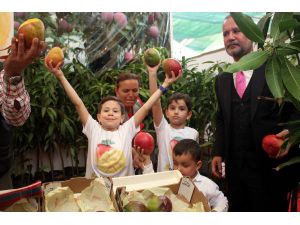 Yerli Mango Üreticiye Tanıtıldı