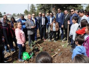 Erdemli’de Adalet Ormanı Kuruldu