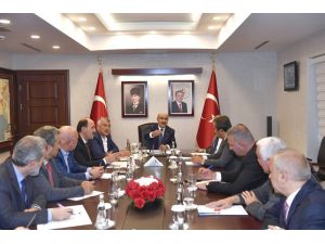 Sokak Hayvanlar İçin Bakım Ve Rehabilitasyon Merkezi Kurulacak