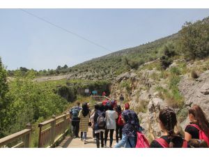 Fidan Dikimi Ve Yürüyüş Etkinliği