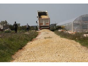 Erdemli’de Asfalt Çalışmaları Devam Ediyor