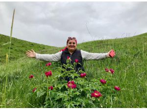 Toroslarda Doğa Fotoğrafçılarını Bekleyen Güzellik