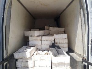 Kahramanmaraş’ta Bin 800 Kilo Kaçak Balık Ele Geçirildi