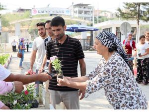 Büyükşehir Belediyesi, Tüm Mezarlıklarda 100 Bin Çiçek Fidesi Dağıtacak
