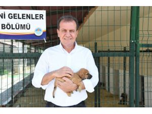 Seçer: “Hayvaseverlerle Ortak Projelere İmza Atacağız”