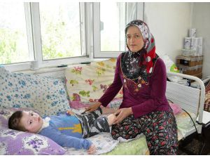 Yatağa Bağımlı Minik Hasan, Fizik Tedaviden Yoksun Kaldı
