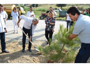 Tarsus’ta 151. Yılda Türkan Saylan Anısına 151 Fidan Dikildi