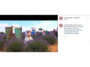 Türkiye’nin Çiçek Bahçesi Isparta İçin Sosyal Medyada Lavanta Daveti