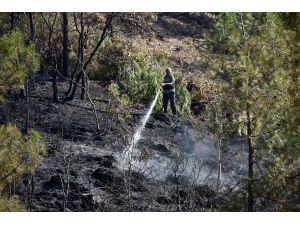 Alanya'da Orman Yangını; 5 Dönüm Alan Kül Oldu