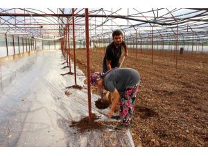 Kumluca'da Topyekûn Solarizasyon Uygulaması Başlatıldı