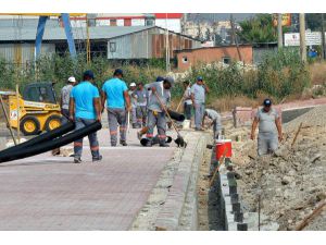Muratpaşa'da Kurban Satış Ve Kesim Yerleri Belirlendi