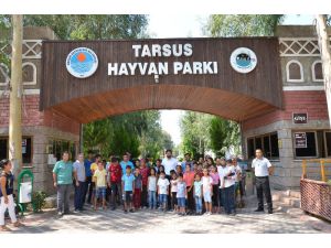 Belgesellerdeki İzledikleri Hayvanları İlk Kez Canlı Gördüler