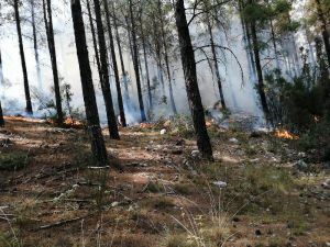 Kaş'ta Orman Yangını