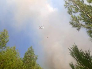 Kaş'ta Orman Yangını (2)