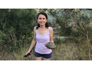 Mersinli Fulya Yetiş, Önce İtfaiyeyi Seferber Etti Sonra Da Kaplumbağanın İmdadına Yetişti