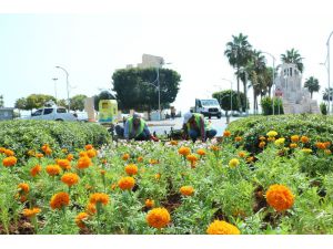 Mersin Büyükşehir Belediyesi 100 Kadını İstihdam Edecek