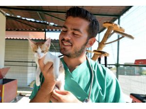 Büyükşehir Veterinerlerinden Hayvanseverlere Uyarı