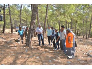 Mersin Orman Bölge Müdürlüğü, Silifke 8 Ton Reçine Üretimi Gerçekleştirdi