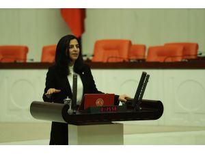 Ak Partili Vekil Durgut: ”Yahya Kemal’i Anlamak İçin Elimize Sözlük Alıyoruz”