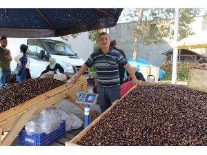 Sinop’ta Kestane Pazara İndi