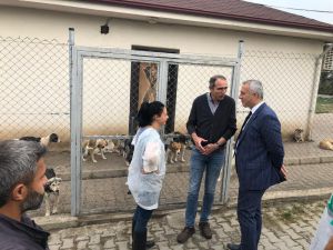 Başkan Babaoğlu, Hayvan Barınağında İncelemelerde Bulundu