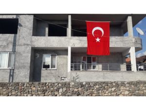 Operasyon Yolunda Şehit Oldu