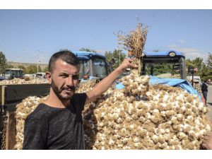 Erzincan, Erzurum Ve Bayburt’ta Sarımsak Zam Şampiyonu