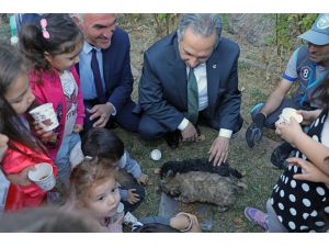 Talas Belediyesi’nden Hayvanları Koruma Günü Etkinliği