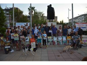 Sessiz Dostlar İçin Anlamlı Proje