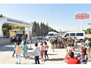 Karatay Hayvanat Bahçesi’ne Öğrencilerden Yoğun İlgi