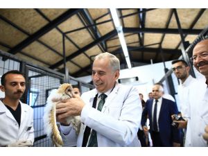 Peçeli Baykuş Dünya Hayvanları Koruma Günü’nde İlgi Odağı Oldu