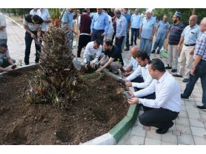 Tarsus Müftülüğü’nden Fidan Dikimi