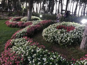 Aytepe Büyükşehir İle Renklendi