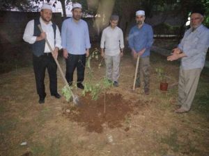 Çınar Müftülüğü’nden Fidan Dikme Etkinliği