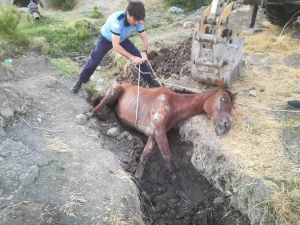 Sahipsiz Atı İtfaiye Kurtardı