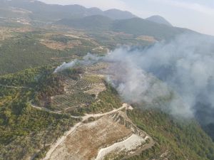 Hatay’da 2 Hektar Orman Ve Makilik Alan Yandı