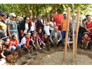 Kadınlardan Başkan Uysal’a ‘dostluk ağacı’ teşekkürü