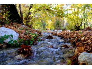 Antalya’da renklerin sonbahar dansı