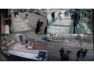 Alman Kurdunun Kaptığı Kediyi Ağzından 5 Kişi Güçlükle Kurtardı