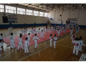 Silifke’de ’Minikler Taekwondo Turnuvası’ Düzenlendi