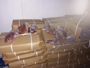 Mersin’e Çin’den Getirilen Kaçak 23 Ton Kuzu Ciğeri Yakalandı