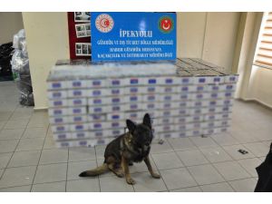 Habur Sınır Kapısı’nda 74 Bin Paket Kaçak Sigara Ele Geçirildi