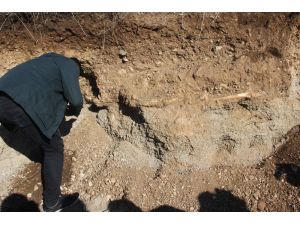 Yol Çalışmasında İnsan İskeleti Bulundu