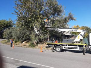 Manavgat’ta tehlike oluşturan ağaçlar budandı