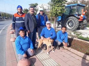 6 aydır ’Gel Oğlum’ ile mesai yapıyor, onsuz adım atamıyorlar