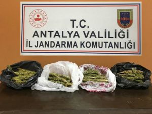 Uyuşturucu ticareti yapan anne ve oğlu tutuklandı