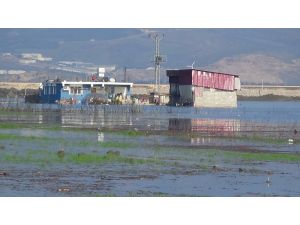 Amik Ovası’nda Evler Ve Tarım Arazileri Sular Altında Kaldı