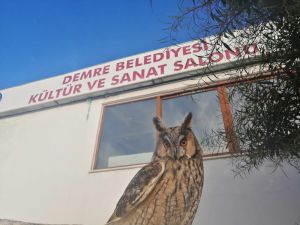 Antalya’da nesli tükenmek üzere olan ‘puhu baykuşu’ bulundu