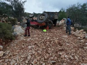 Zeytin yüklü traktör devrildi: 1 yaralı